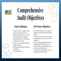 Energy Audit Consultant